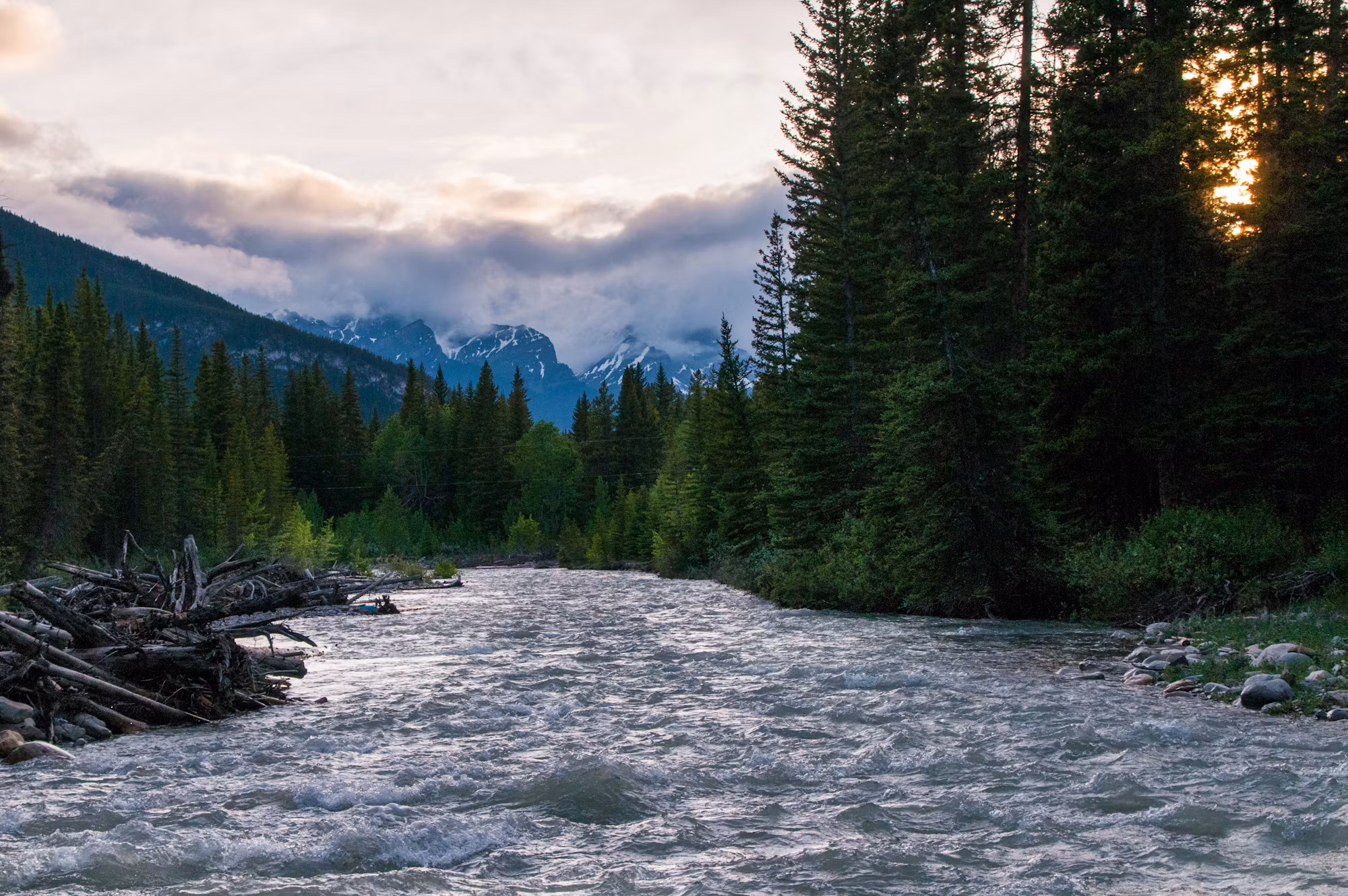 A Beginner’s Guide to Car Camping: Freedom, Comfort, and Adventure on the Road